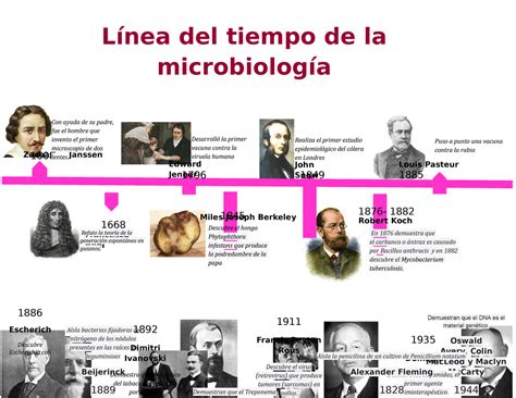 Linea Del Tiempo De Los Grandes Aportes A La Microbiolog A Timeline