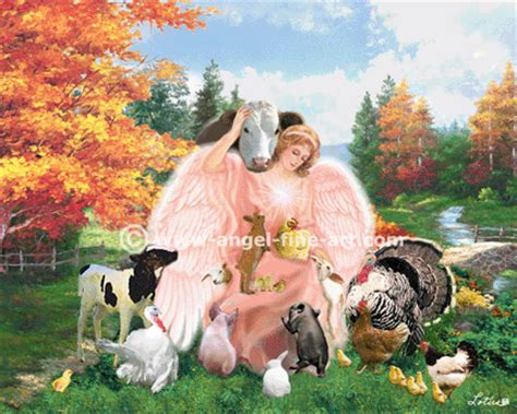 Galactic awakening and healing: ANGELS, PRAYERS and FORGIVENESS