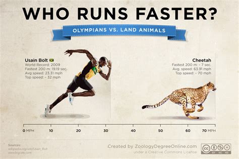 Who Runs Faster Usain Bolt Vs Cheetah Tribesports
