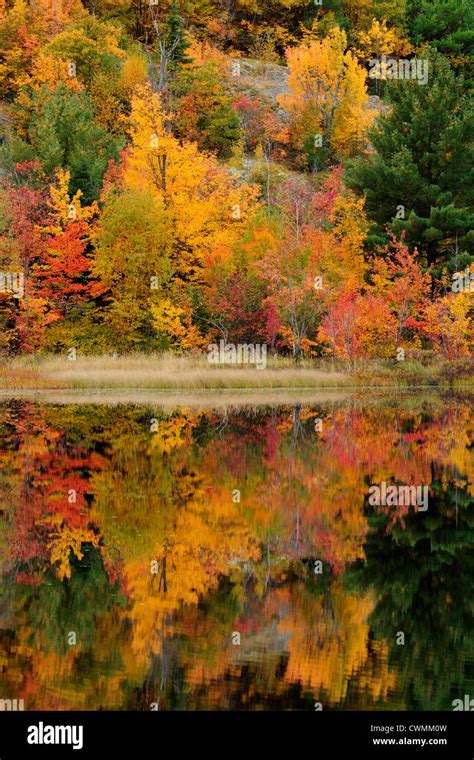 Espanola Ontario Hi Res Stock Photography And Images Alamy