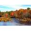 Fall Foliage Cruises What To Do In The Most Popular Ports From Nova 