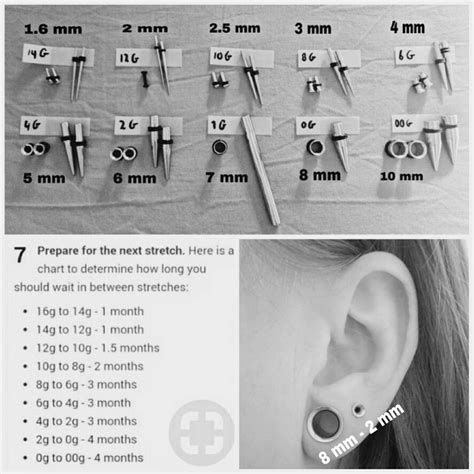 Ear Stretching Sizes Guide Ear Piercings Gauges Stretched Ear Lobes Piercing