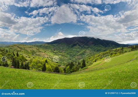 Mountain Landscape With Green Meadow And Pine Forest Away Stock Photo