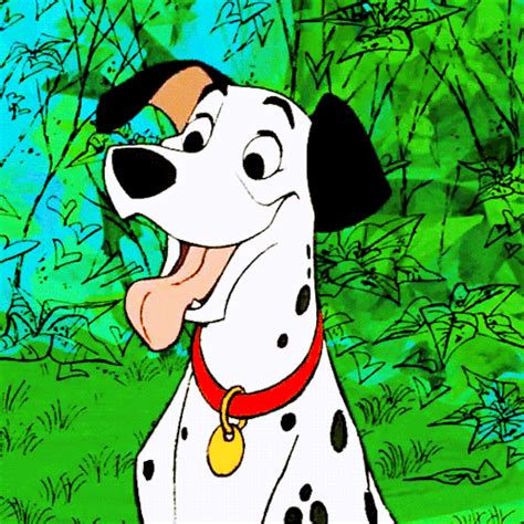 Dalmatians Gifs Gif Abyss Photos