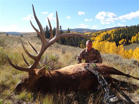 Colorado Trophy Elk Hunts At Bull Basin Ranch Colorado Trophy Bull Elk