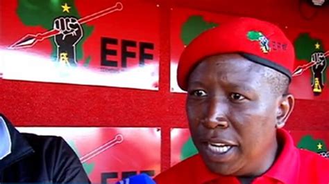 Ever seen an ugly woman in a blue dress dancing like a monkey because she is looking for votes? Julius Malema: Why The Fighter Calls President Zuma ...