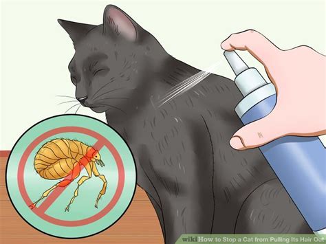 I have a few questions for you before i see if i can help: How to Stop a Cat from Pulling Its Hair Out