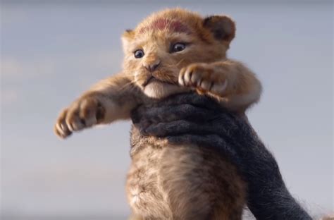 Disney S Live Action Lion King Teaser Has Arrived Wat