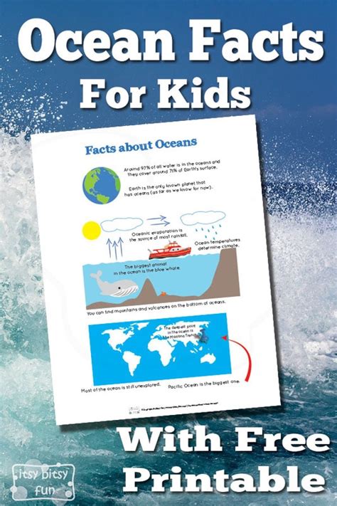 Ocean Facts For Kids Itsy Bitsy Fun