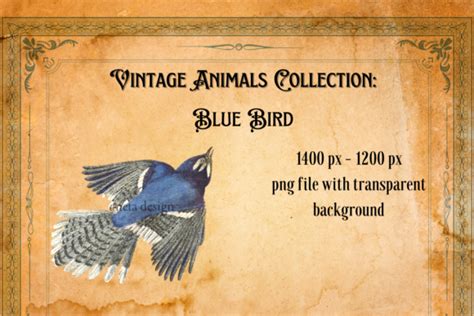 Vintage Blue Bird Illustration Graphic By Aneta Design · Creative Fabrica