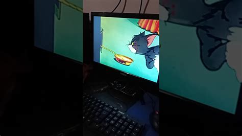 Cat Watching Tom And Jerry Youtube