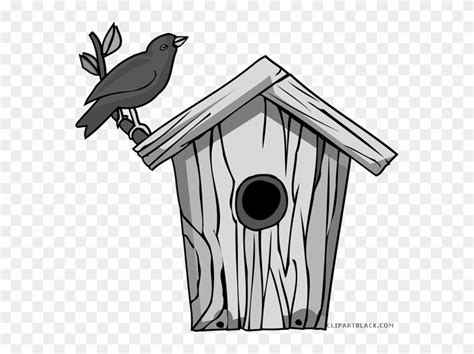 Animated Bird Feeder Clipart 10 Free Cliparts Download Images On