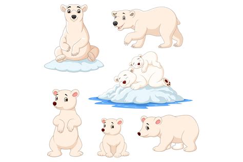 Cartoon Polar Bear Bundles Graphic By Tigatelusiji · Creative Fabrica