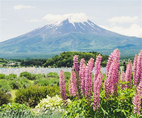 The Most Beautiful Places In Japan