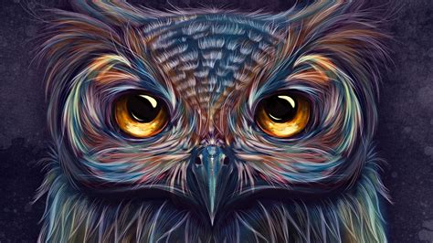 We did not find results for: Owl Colorful Art 4k owl wallpapers, hd-wallpapers, digital ...