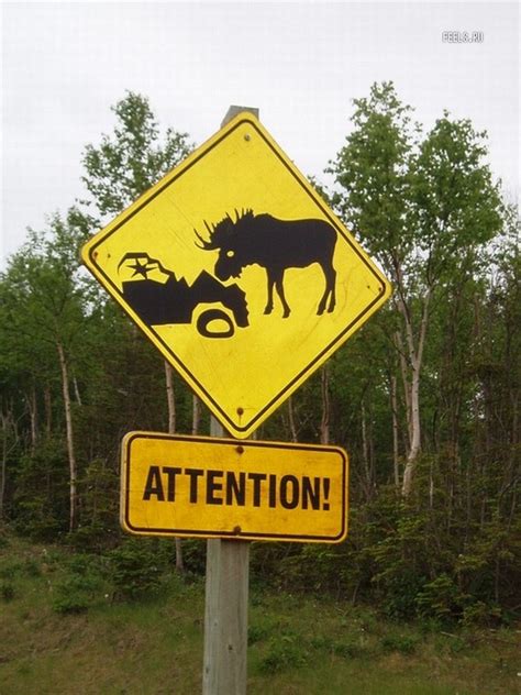 Very Strange And Funny Road Signs 39 Pics