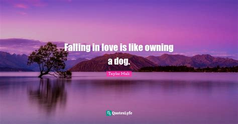 Falling In Love Is Like Owning A Dog Quote By Taylor Mali Quoteslyfe