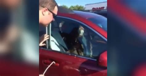 Cop Rushes To Save A Dog Left In A Hot Car But When The Owner Shows Up