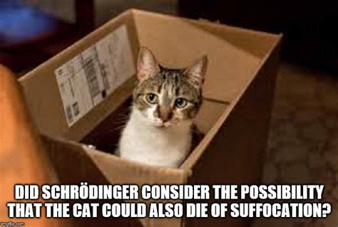 Image Tagged In Schrodinger S Cat Another Possibility Imgflip