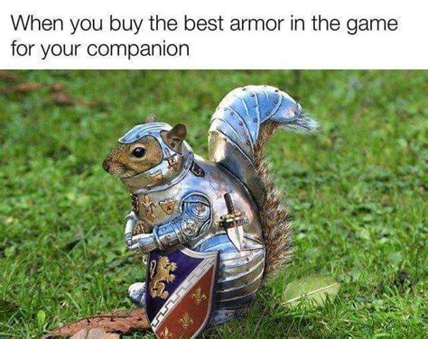 When You Buy The Best Armor In The Game For Your Companion