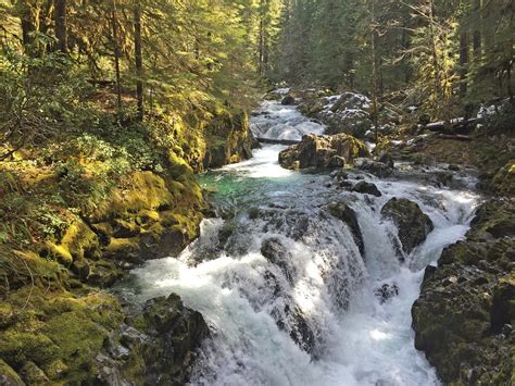 Best Hikes in Willamette National Forest (OR) | Trailhead Traveler