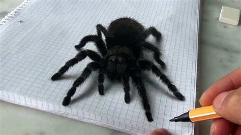 How To Draw A Realistic Spider