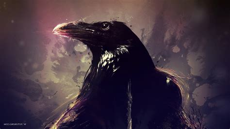 Raven Artwork Animals Birds Wallpapers Hd Desktop And