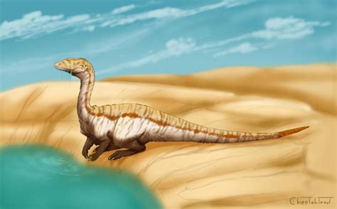 Dolichosuchus Prehistoric Wiki Fandom
