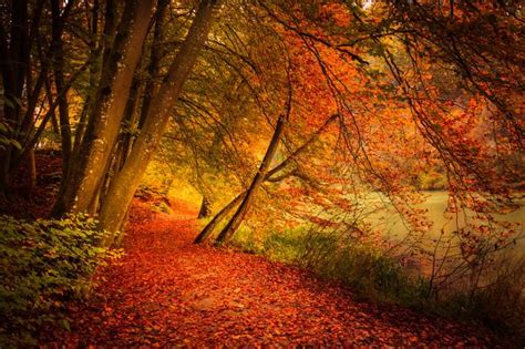 Celebrating Fall With Heart Stopping Autumn Images You Must See