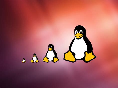 Linux Icon 16px 32px 256px By Epiccoders Epicpxls