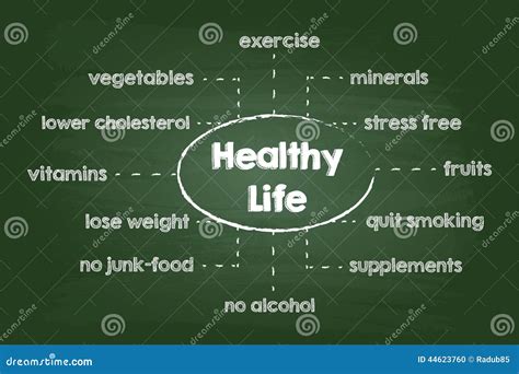 Healthy Lifestyle Chart Stock Vector Illustration Of Diagram 44623760