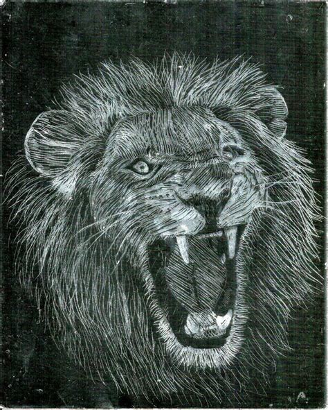 Lion Scratch Art By Royaloakpoland On Deviantart