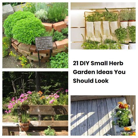 21 Diy Small Herb Garden Ideas You Should Look Sharonsable