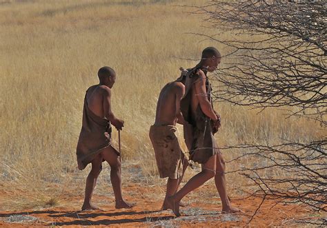 bushmen kalahari reserve namibia alessandra conti flickr