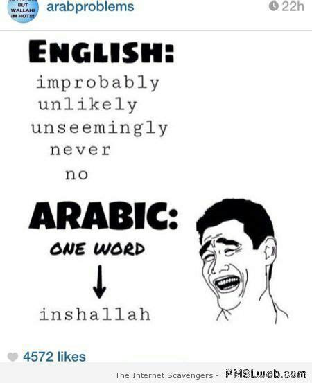 arab memes english vs arabic wattpad