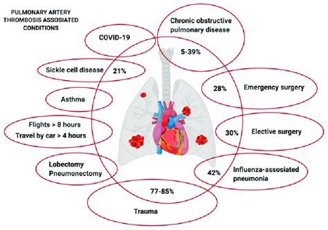 Diseases And Conditions With High Risk Of Pulmonary Artery Thrombosis
