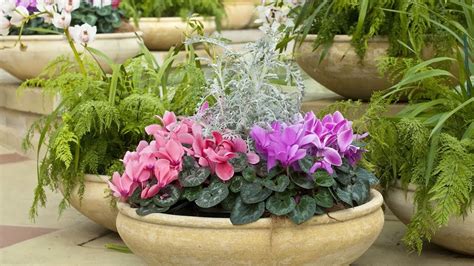 Fall Container Gardening Southern Living Youtube