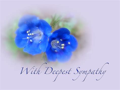 What are the best flowers to send for sympathy? Sympathy Card - Blue Wildflower Photograph by Mother Nature