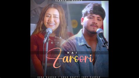 Hai Zaroori Neha Kakkar Aman Bhatt Tony Kakkar Lofi Editz