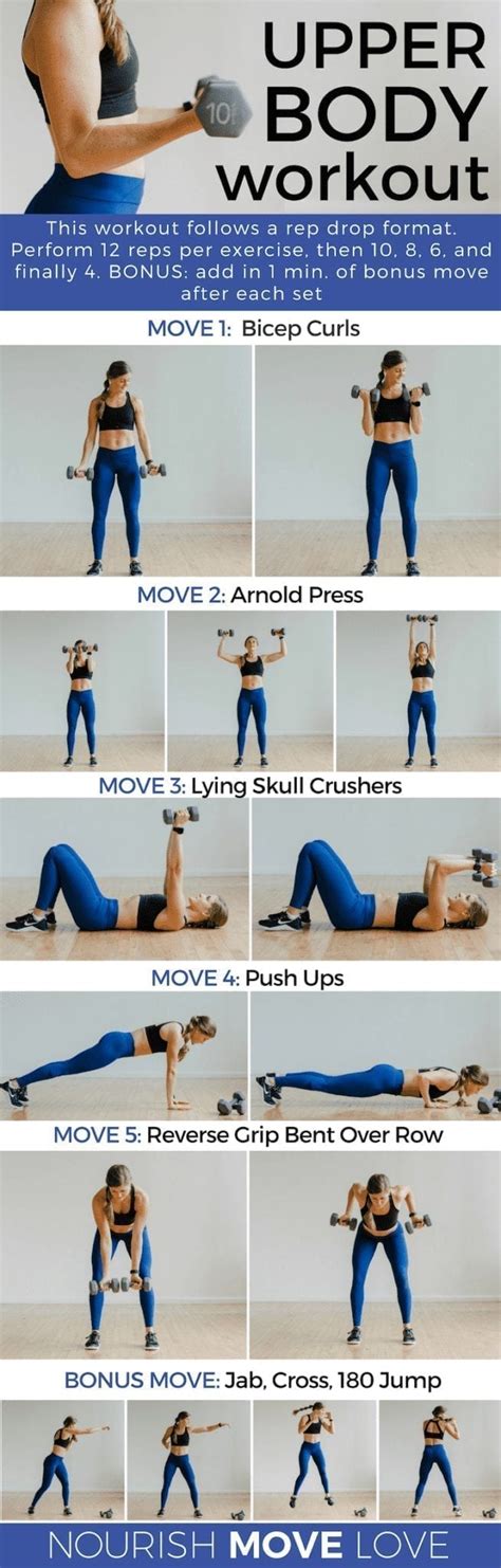 Best Upper Body Exercises For Females Online Degrees