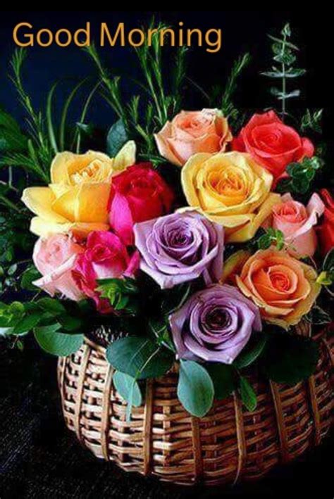 Good Morning Beautiful Roses Beautiful Flowers Pretty Roses Colorful