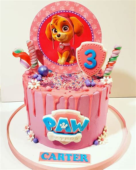 Paw Patrol Cake Idea For Paw Patrol Party For Girls Skye With Candy
