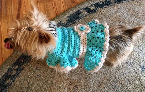Crochet Fuchsia Dog Sweater Dress Etsy Crochet Dog Clothes Crochet