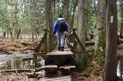 This Hiking Trail Near Toronto Leads To A Pinnacle With Spectacular