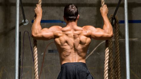 Human anatomy for muscle, reproductive, and skeleton. 5 Back Workouts For Mass - A Beginner's Guide!