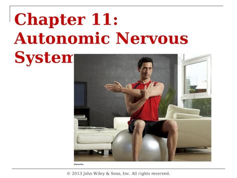 ppt chapter 11 autonomic nervous system dokumen tips