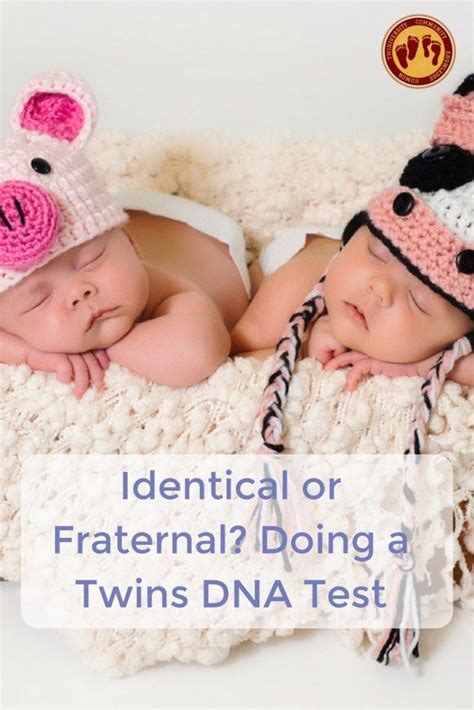 identical or fraternal doing a twins dna test twiniversity