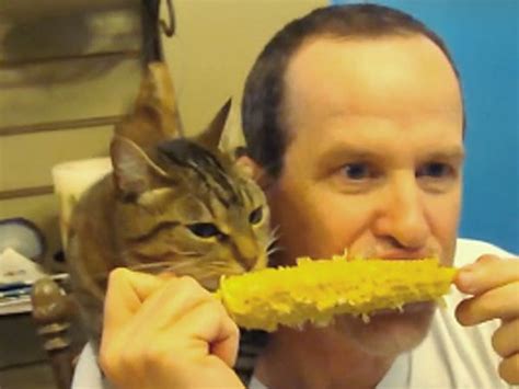 We Could Watch This Cat Eat Corn On The Cob With Her Owner Forever Video Cute Cats Corn Cats