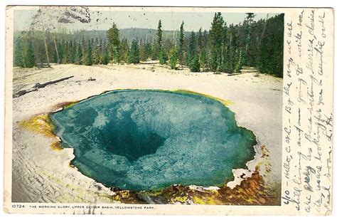 Judy S Postcards Plus Vintage Postcard Morning Glory Pool Yellowstone National Park