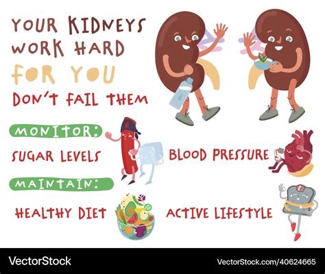 World Kidney Day Poster For Awareness Prevention Vector Image
